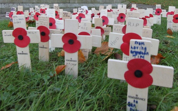 Crosses of remembrance Crosses of remembrance