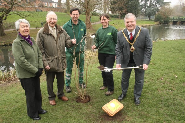The Mayor planting a magnolia tree with the Friends of Gheluvelt Park and park rangers