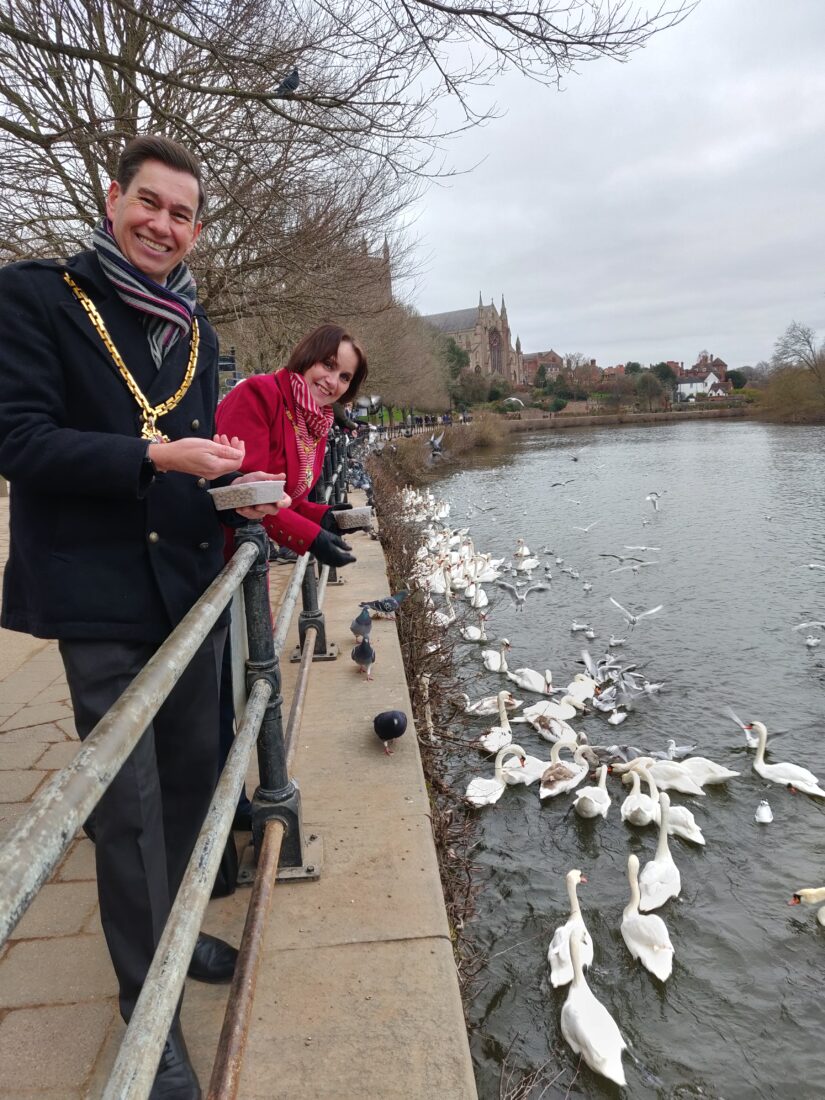 The Mayor and Mayoress feeding swans at Worcester's riverside
